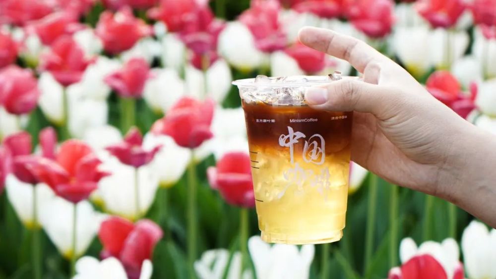 清北学霸联手做咖啡,融资8亿,一年开出500家店