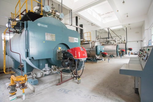 中正锅炉匠心打造高效燃气锅炉系统，助力三易食品节能降耗